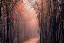 8秒16！吴艳妮夺冠南京日报.