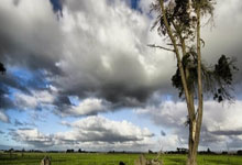 [CBA]李根：辽宁队有资本在后半段掌控比赛节奏.